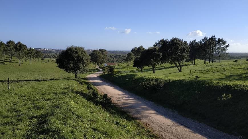 Lugar Quinta do Pisão