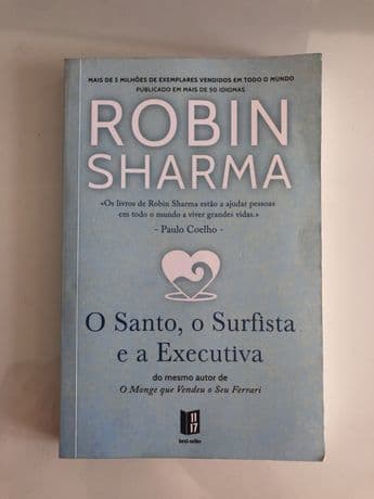 Libro O santo o surfista e a executiva 