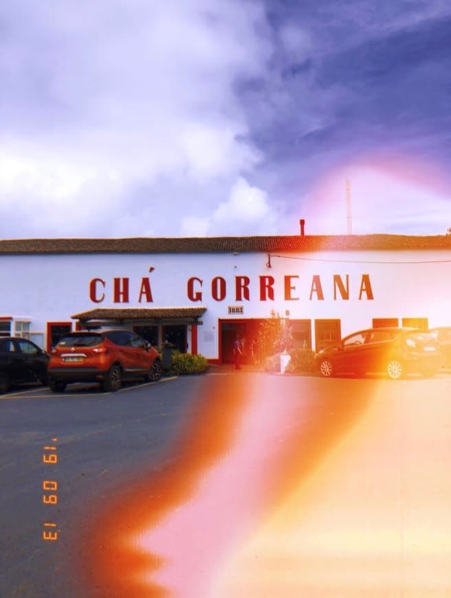 Place Chá Gorreana