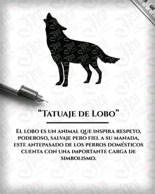 Fashion Lobo