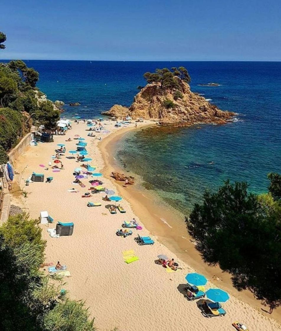 Lugar Cala Cap Roig