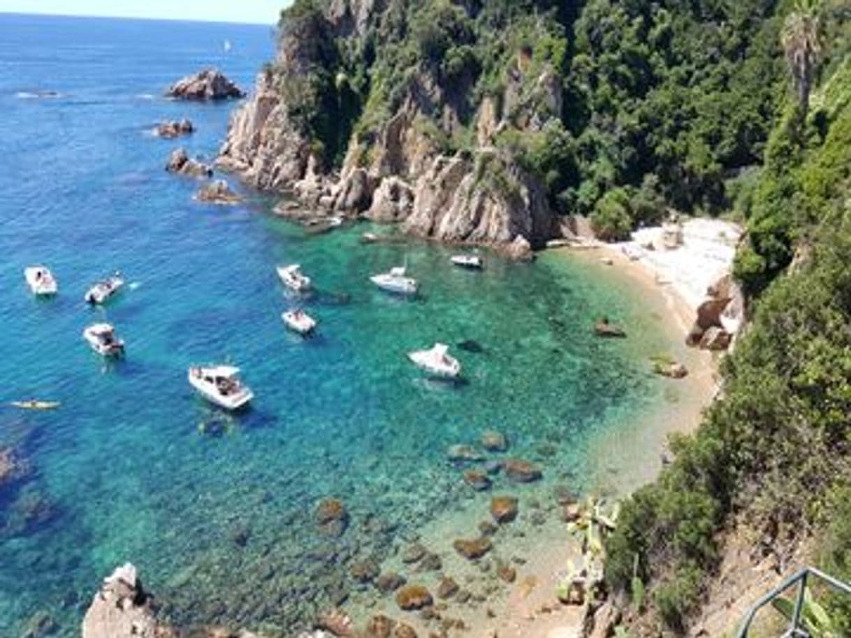 Place Cala Sa Forcanera