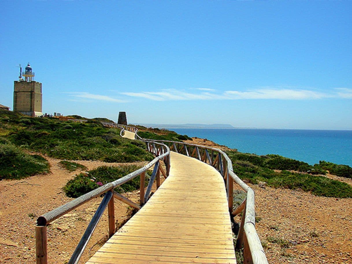 Place Mirador Faro de Cabo Roche