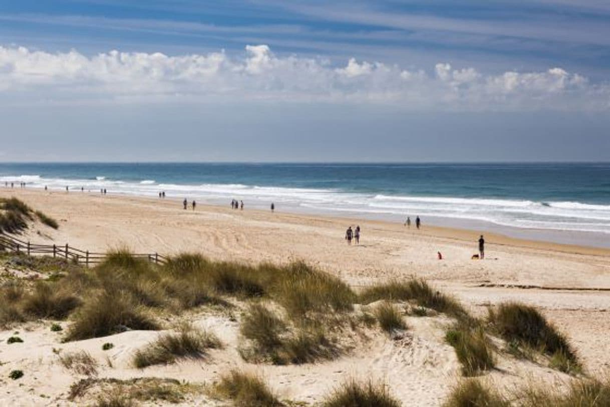 Place Playa de la Barrosa