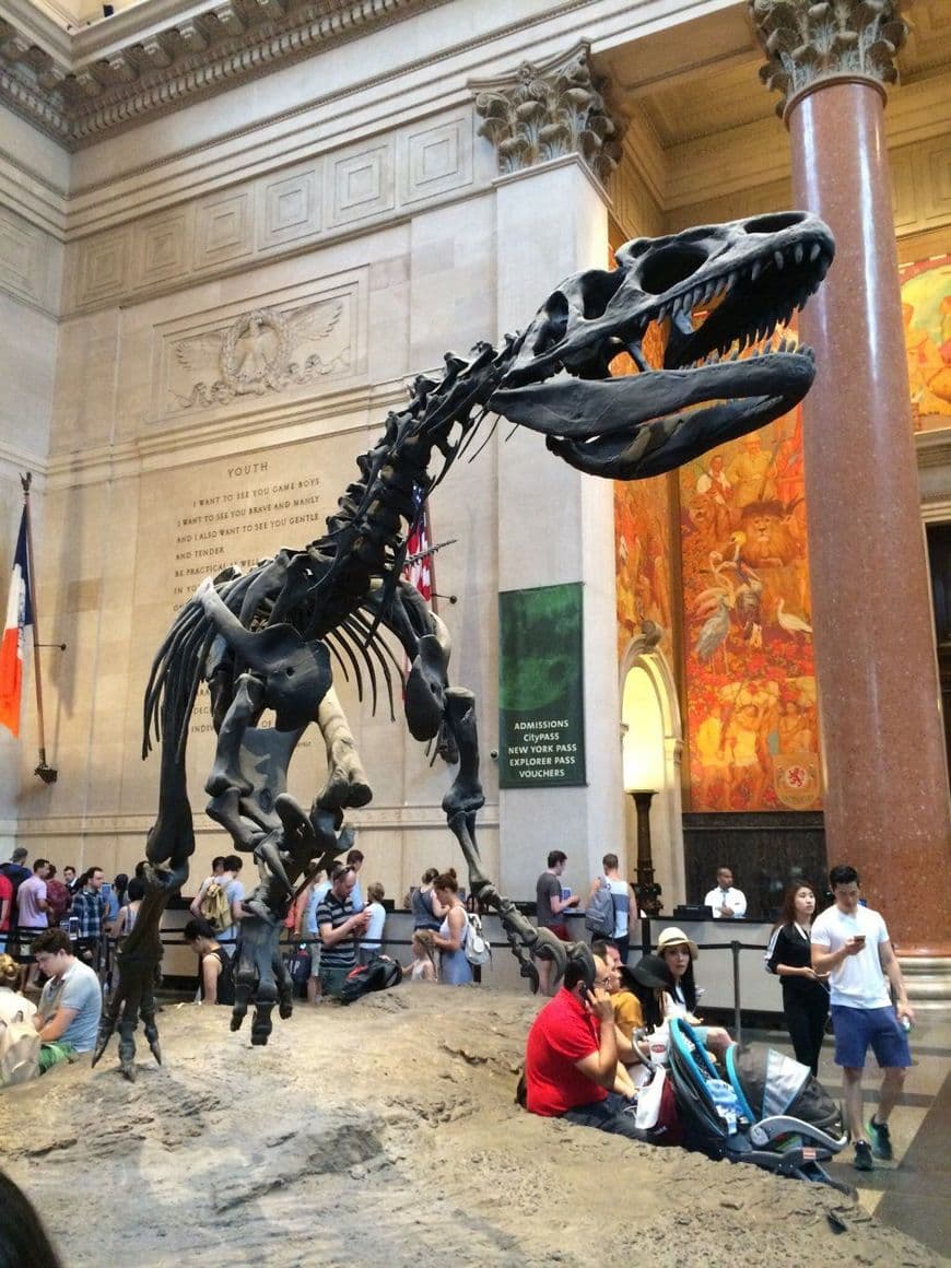 Lugar American Museum of Natural History