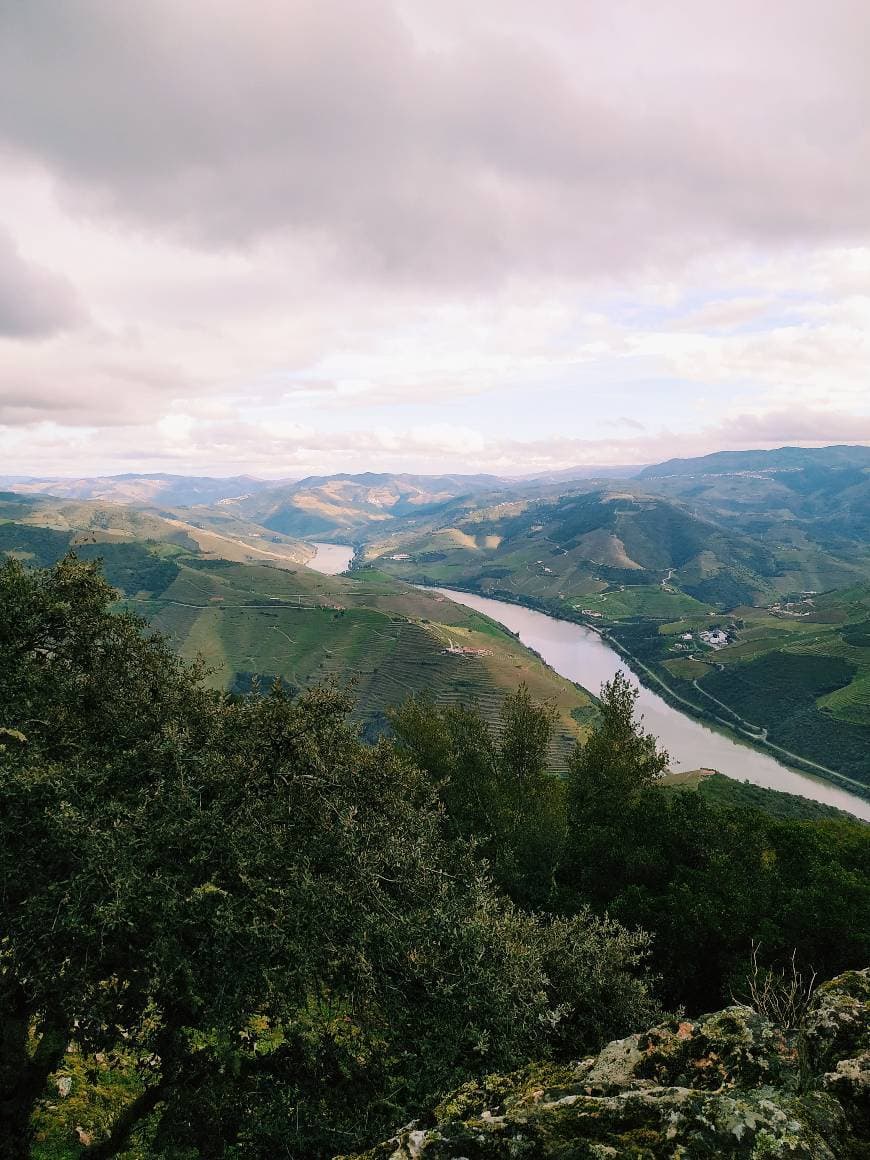 Lugar Miradouro São Leonardo de Galafura