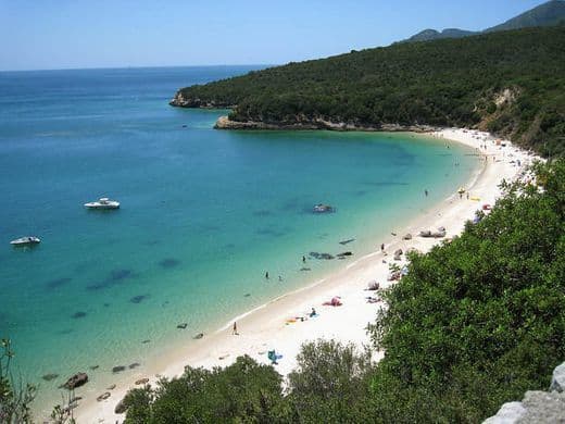 Lugar Praia dos Galapinhos