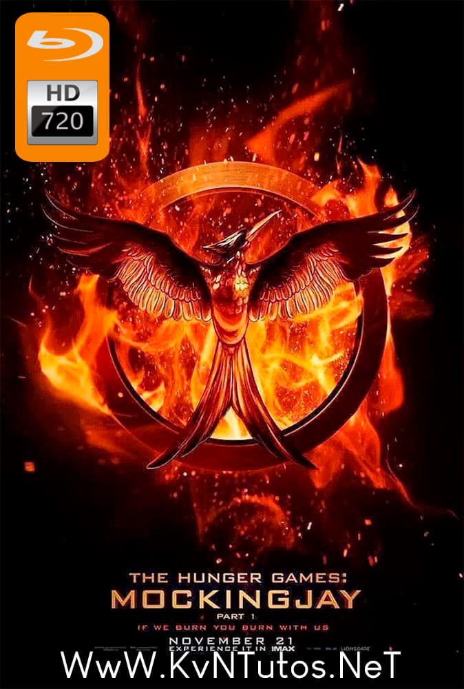 Película The Hunger Games: Mockingjay - Part 1