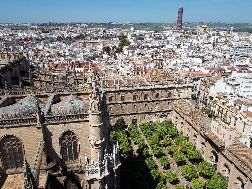 Lugar Catedral de Sevilla