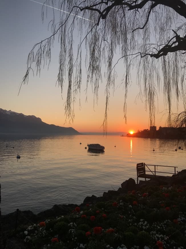 Place Montreux