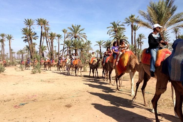 Lugar El Palmeral Marrakech