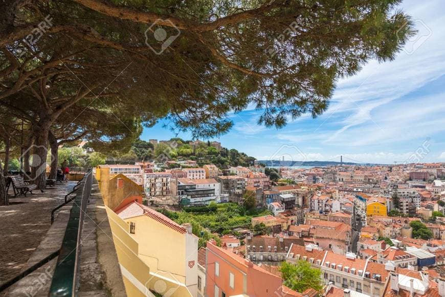 Place Miradouro Sophia de Mello Breyner Andresen