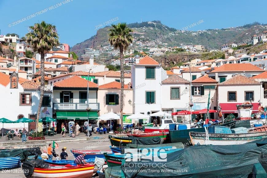 Lugar Câmara De Lobos