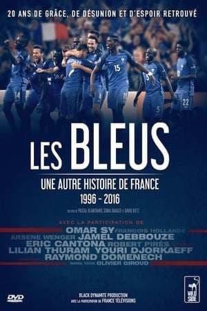 Movie The Blues: Another Story of France