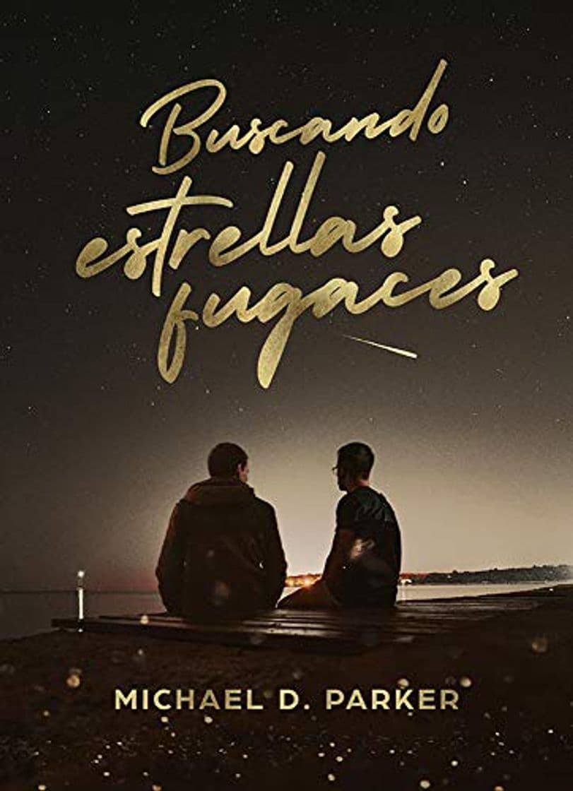 Libro Buscando estrellas fugaces