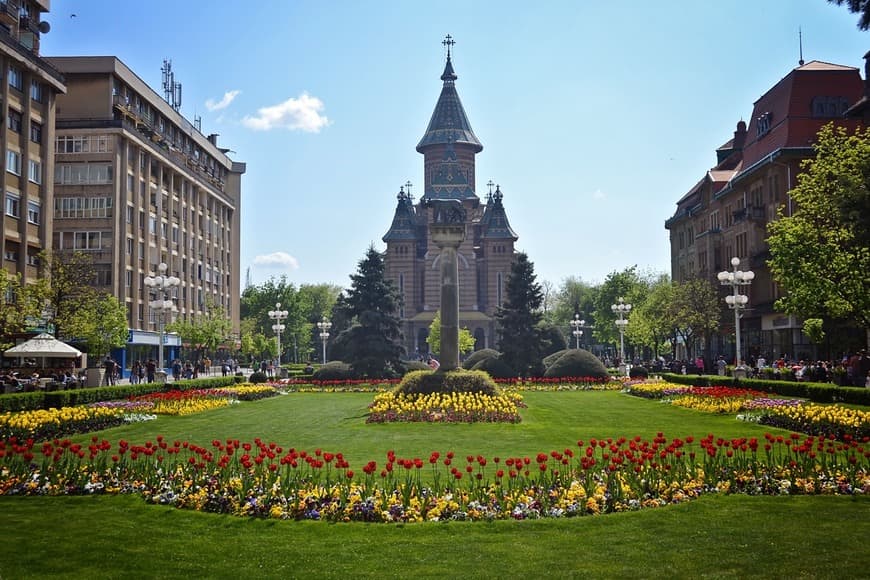 Place Catedral Metropolitana