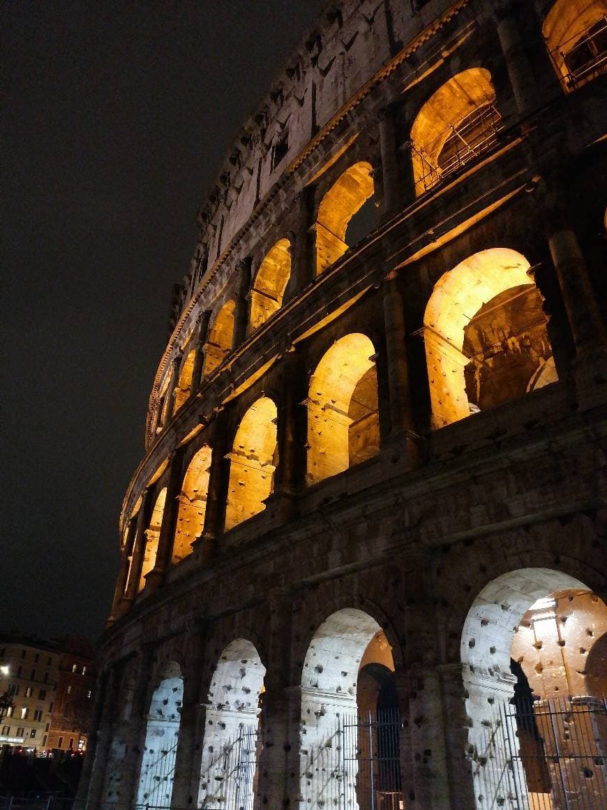 Lugar Coliseo de Roma