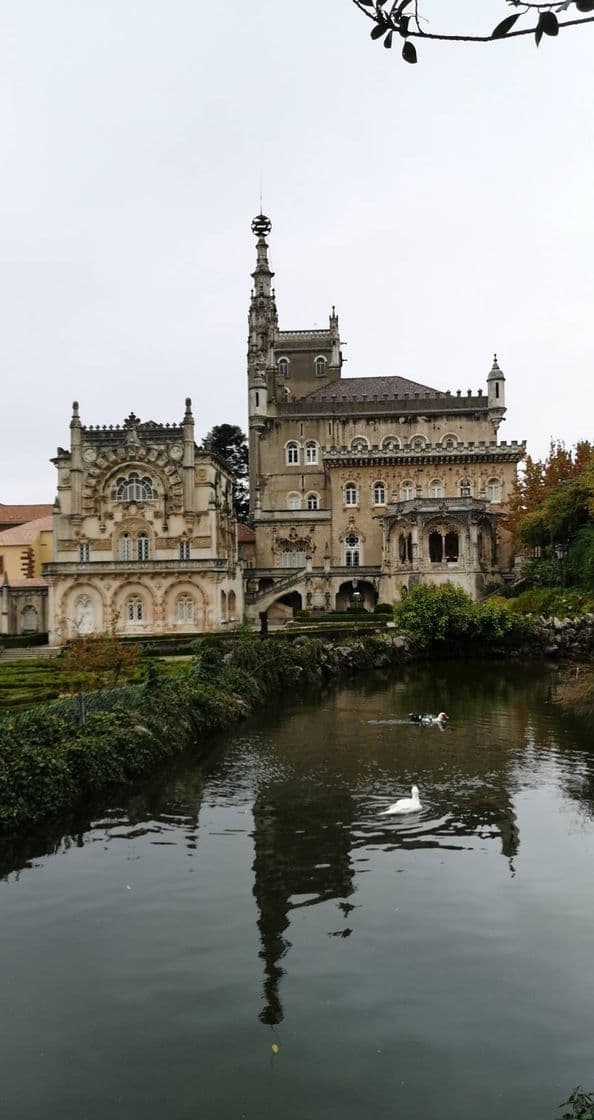 Place Serra do Buçaco