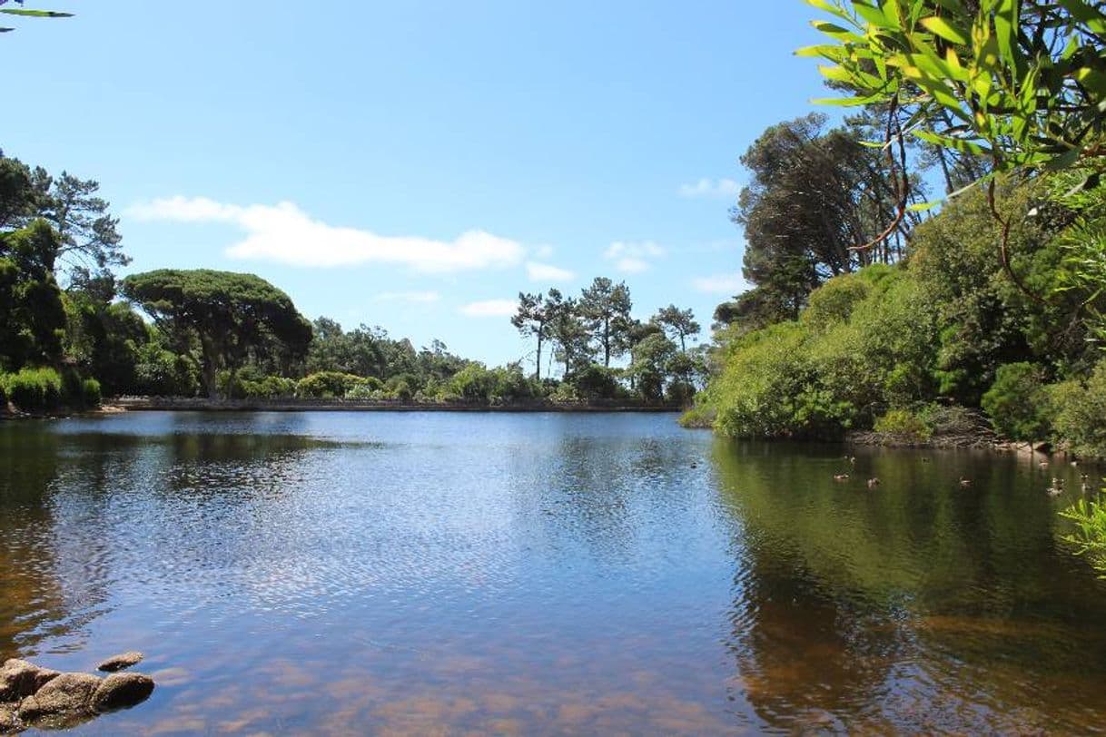 Place Lagoa Azul