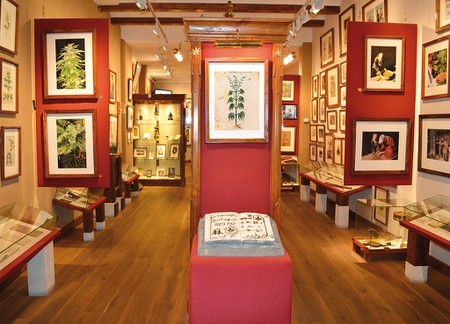 Place Cannabis Museum Amsterdam