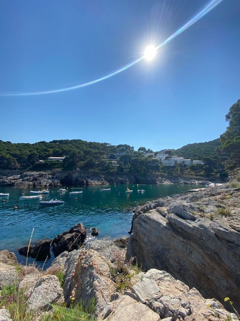 Lugar Cala d'Aiguafreda