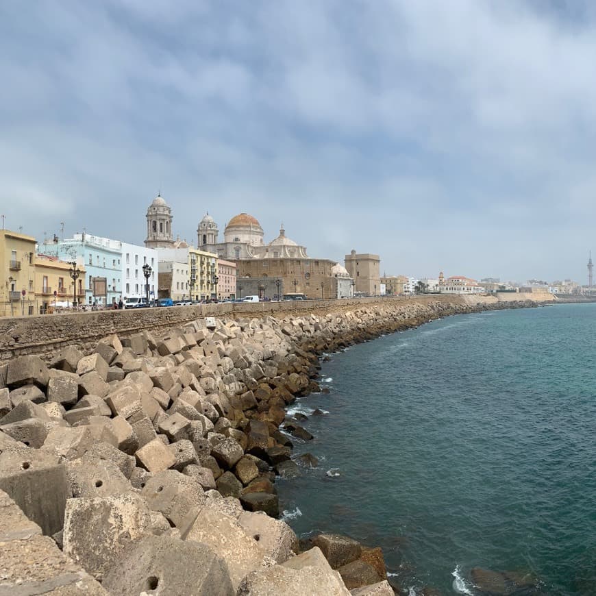 Lugar Catedral de Cádiz