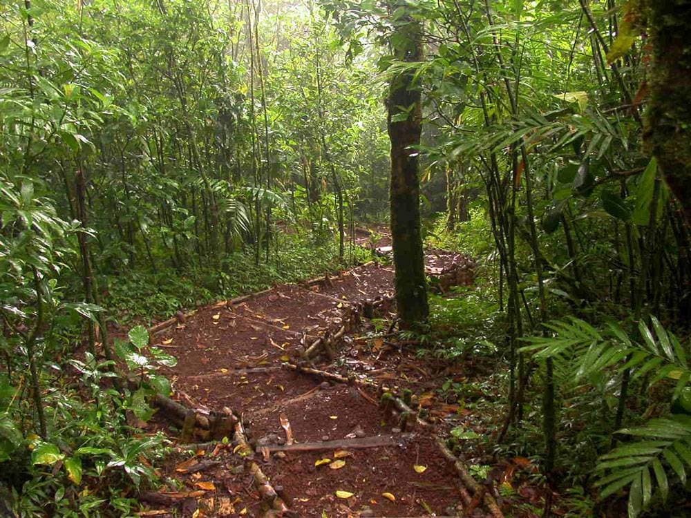 Place Reserva Natural Volcán Mombacho