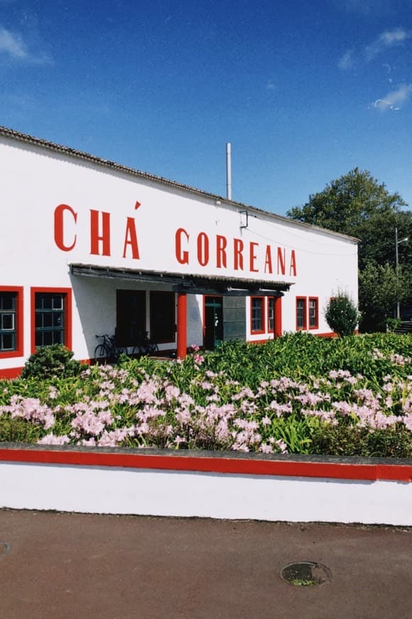 Place Chá Gorreana