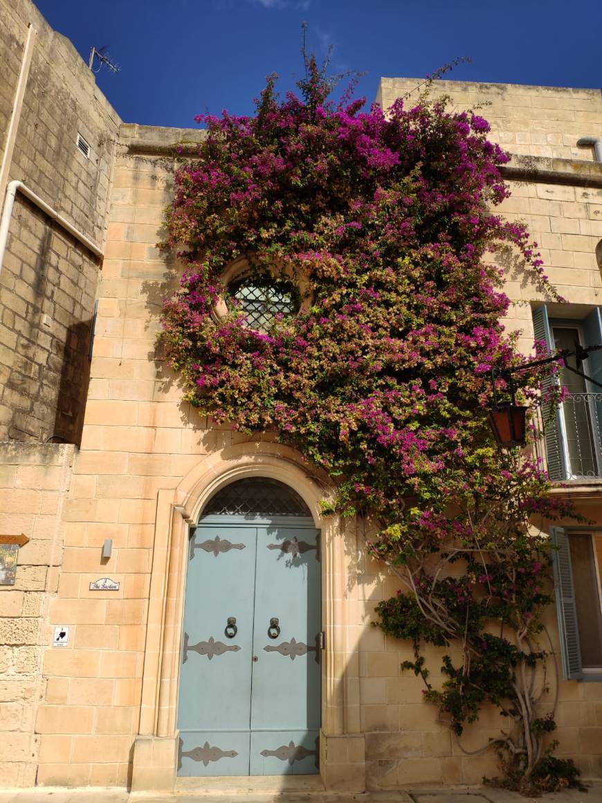 Place Mdina