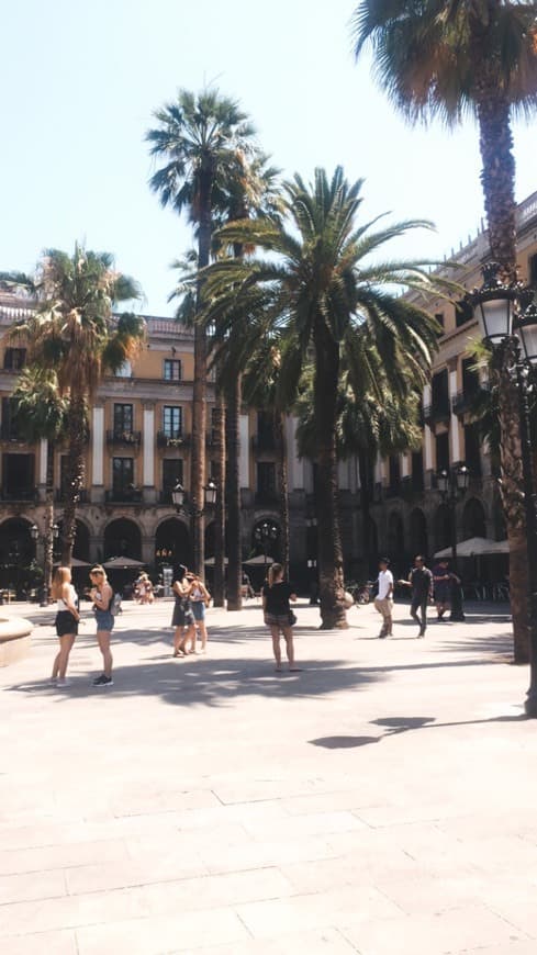 Lugar Plaça Reial