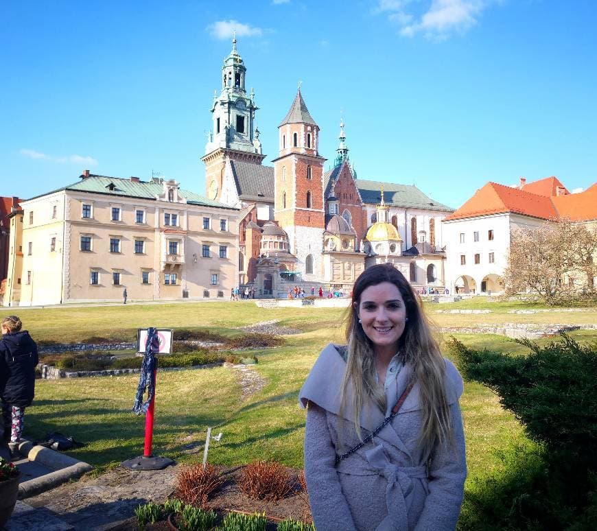 Lugar Castillo de Wawel