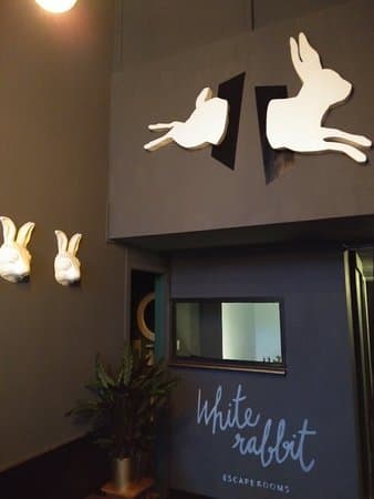 Place white rabbit escape rooms