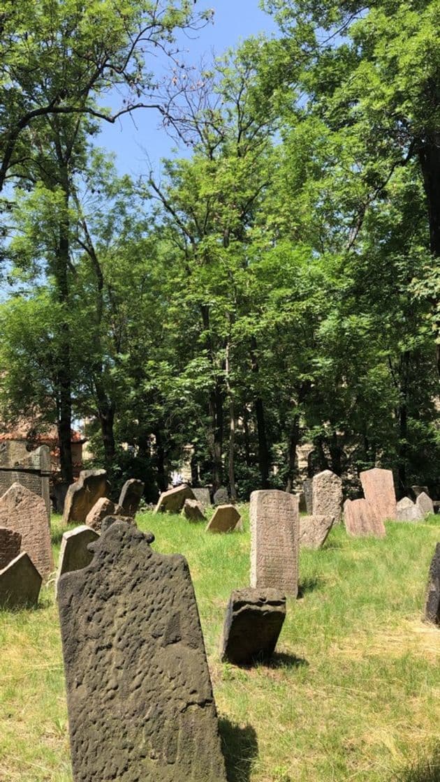 Lugar Old Jewish Cemetery