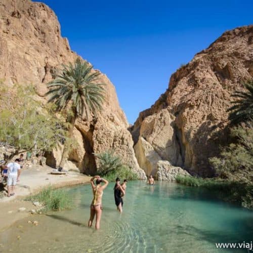 Lugar Oasis De Chebika