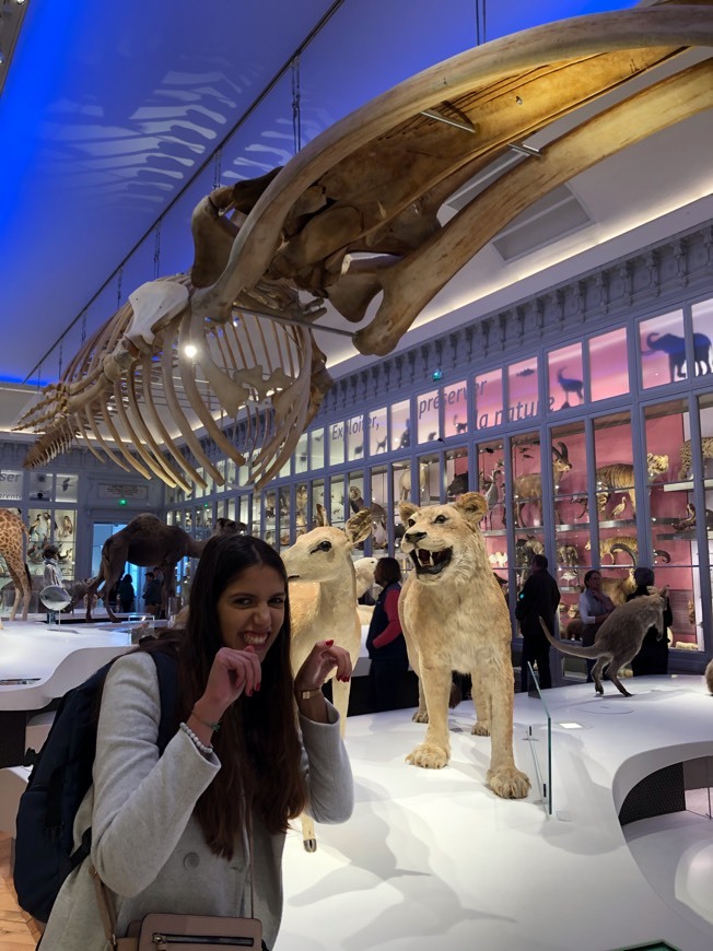 Place Museu de Bordeaux - Ciências e Natureza