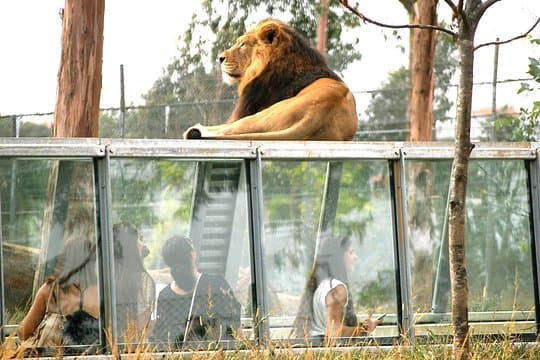 Place ZOO Santo Inácio