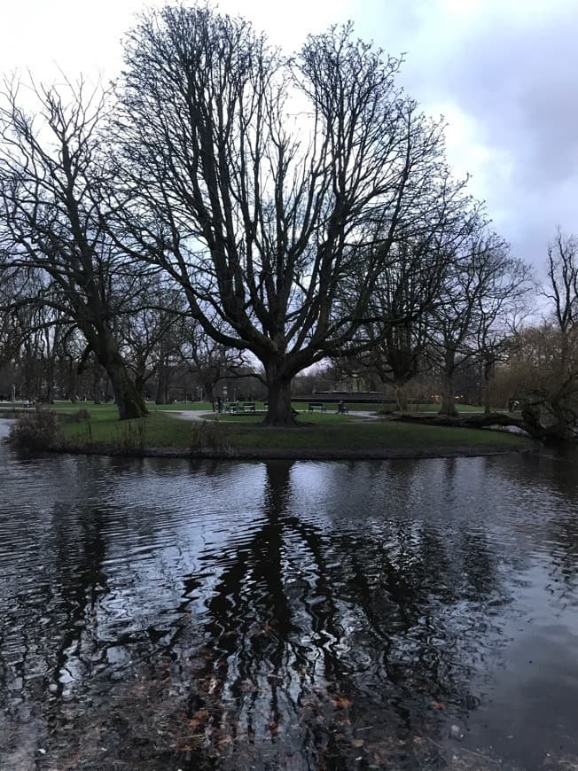 Restaurants Vondelpark