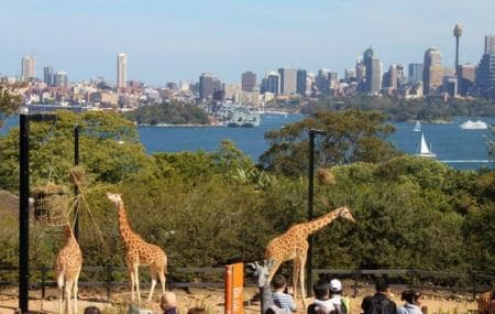 Lugar Taronga Zoo