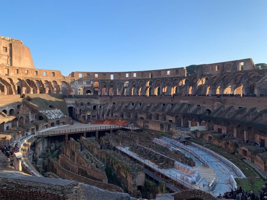 Lugar Coliseo de Roma