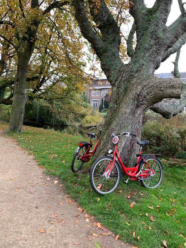 Restaurantes Vondelpark