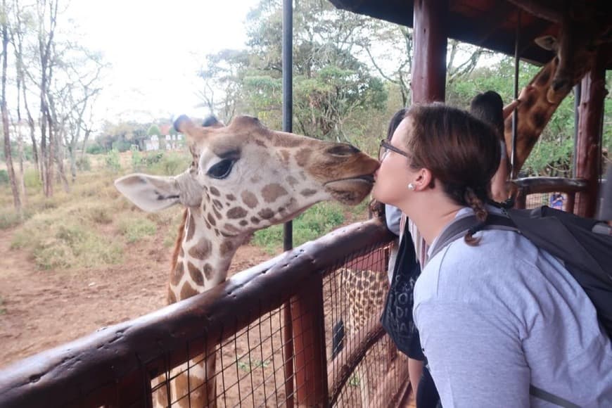 Place Giraffe Manor