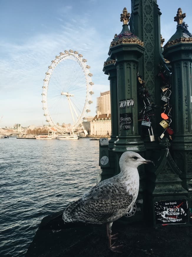 Place London Eye