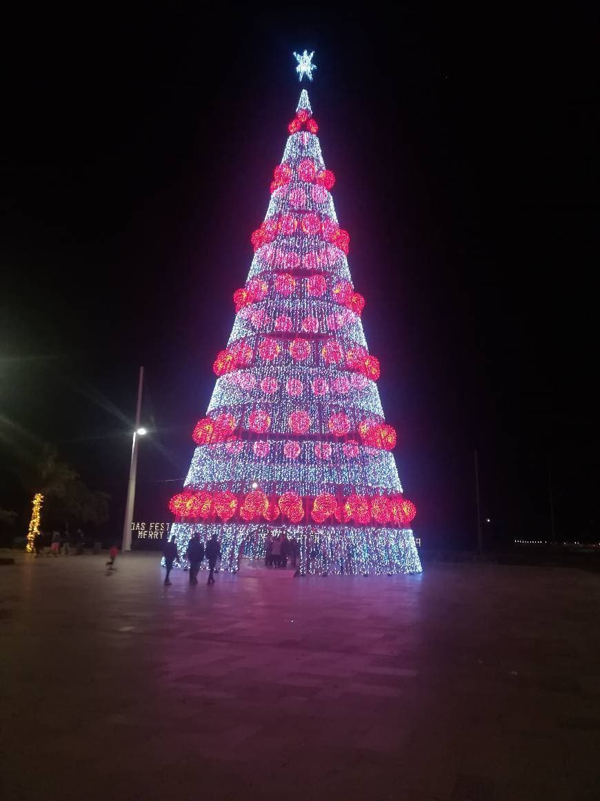 Place Funchal