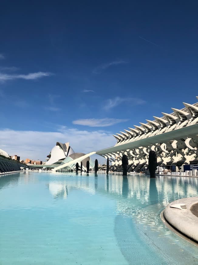 Lugar Ciudad de las Artes y las Ciencias