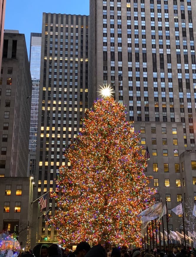 Place Rockefeller Center Christmas Tree