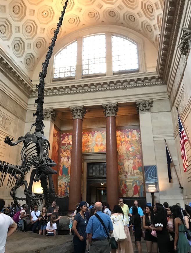 Place American Museum of Natural History