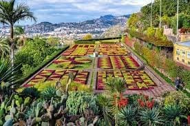 Lugar Jardín Botánico de Madeira