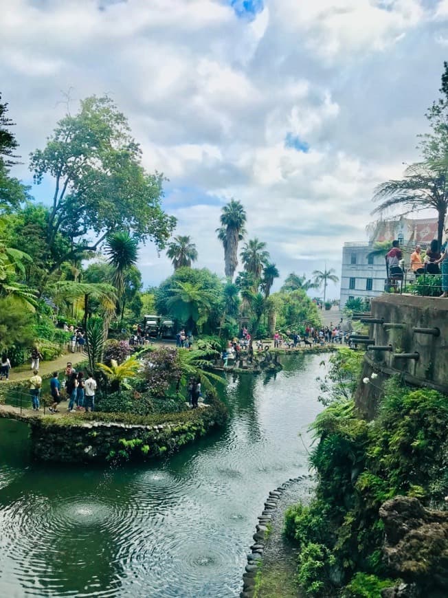 Lugar Jardim Tropical Monte Palace