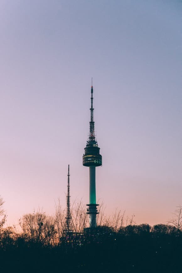 Place N Seoul tower