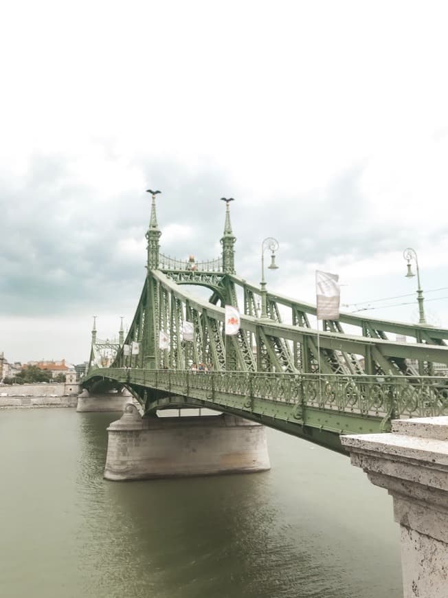 Lugar Puente de la Libertad